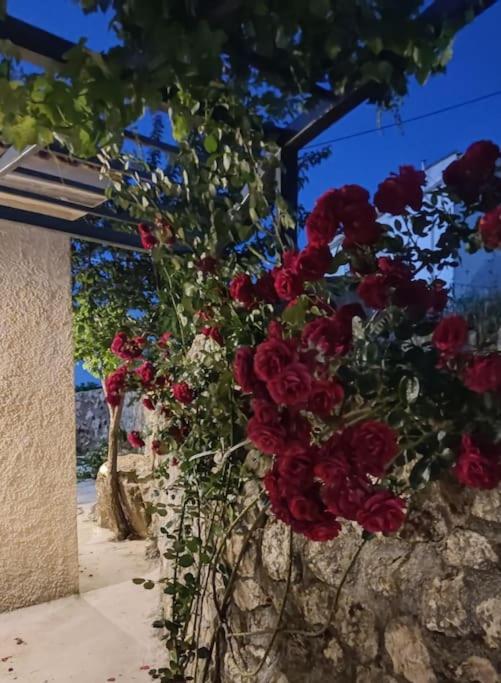 Villa Aiolia Kondoyenádha Εξωτερικό φωτογραφία